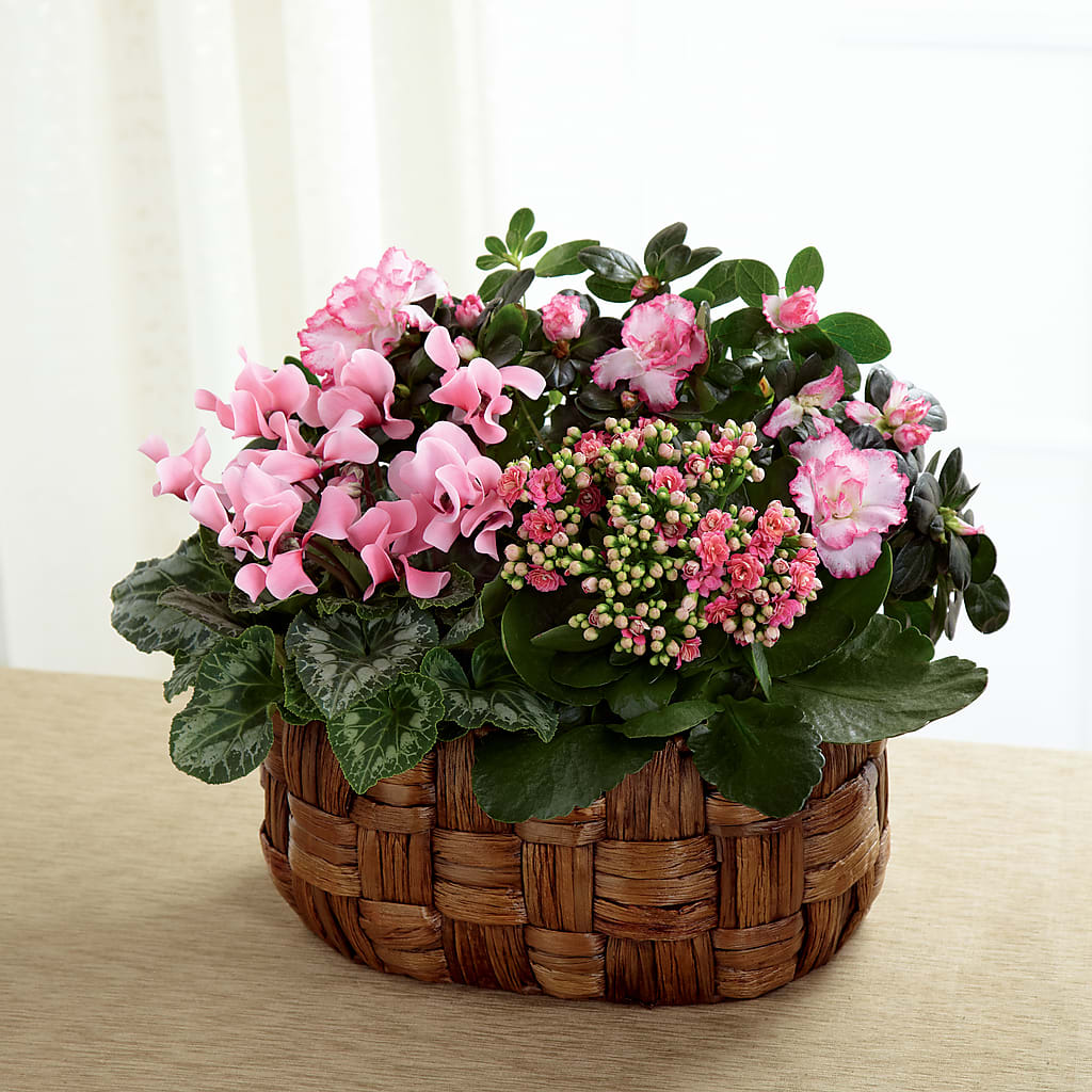 Pink Assortment – Fantasy Decorations And Flower Shop, Hawthorne CA