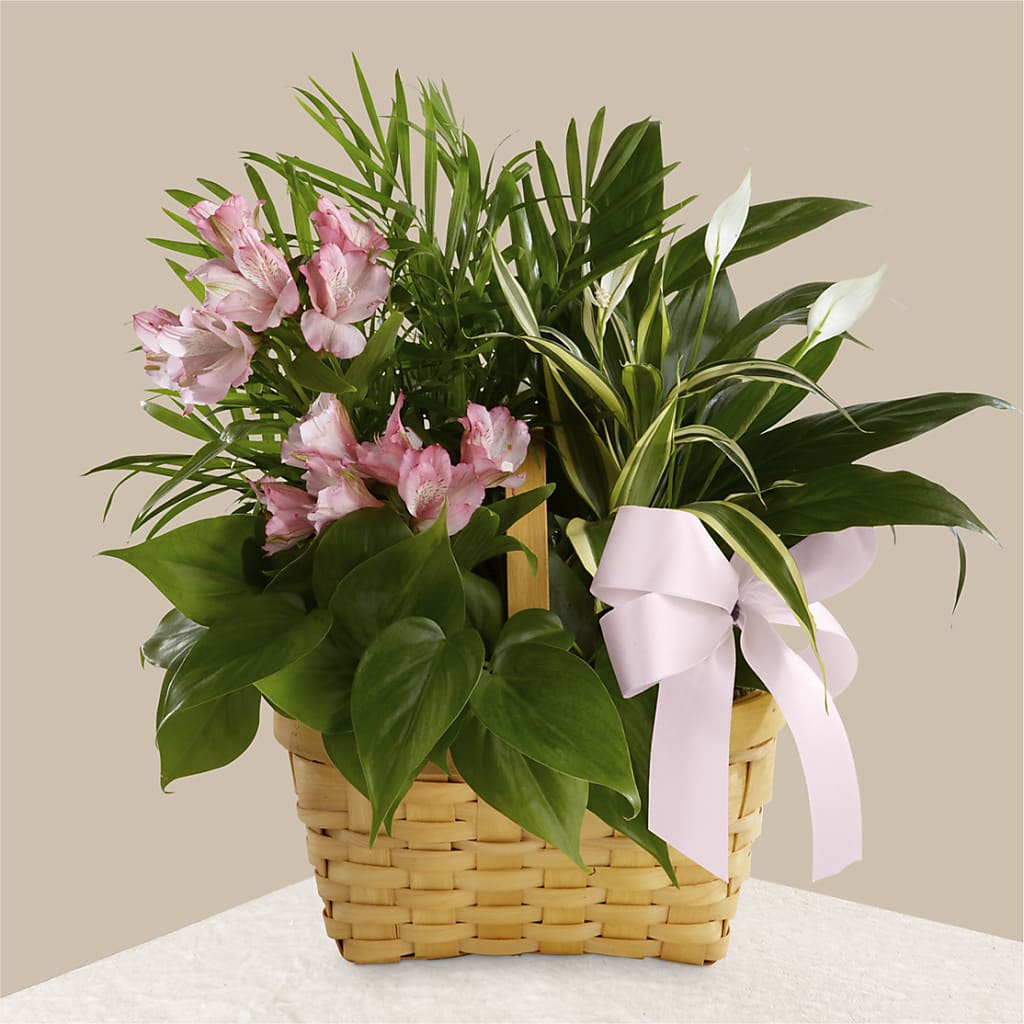 Living Spirit Dishgarden – Fantasy Decorations And Flower Shop, Hawthorne CA