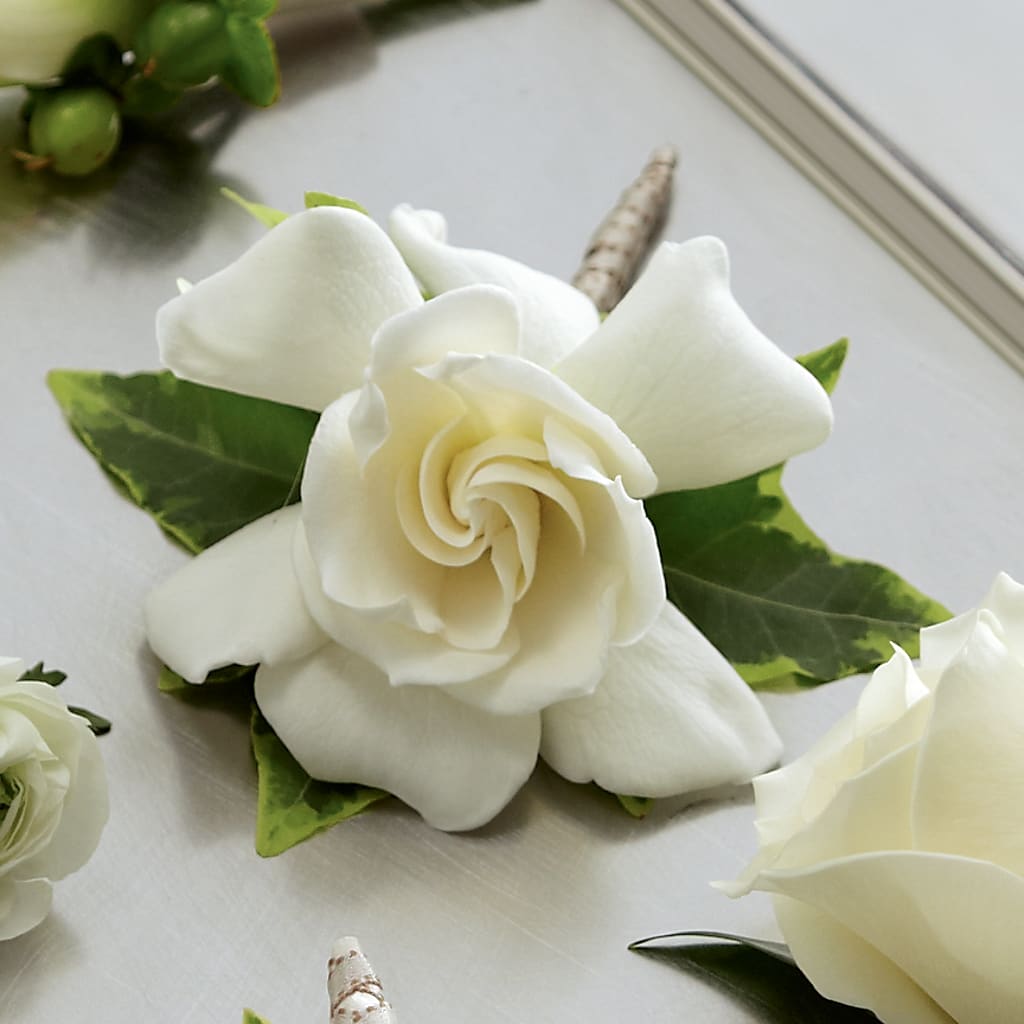 Gardenia Boutonniere – Fantasy Decorations And Flower Shop, Hawthorne CA
