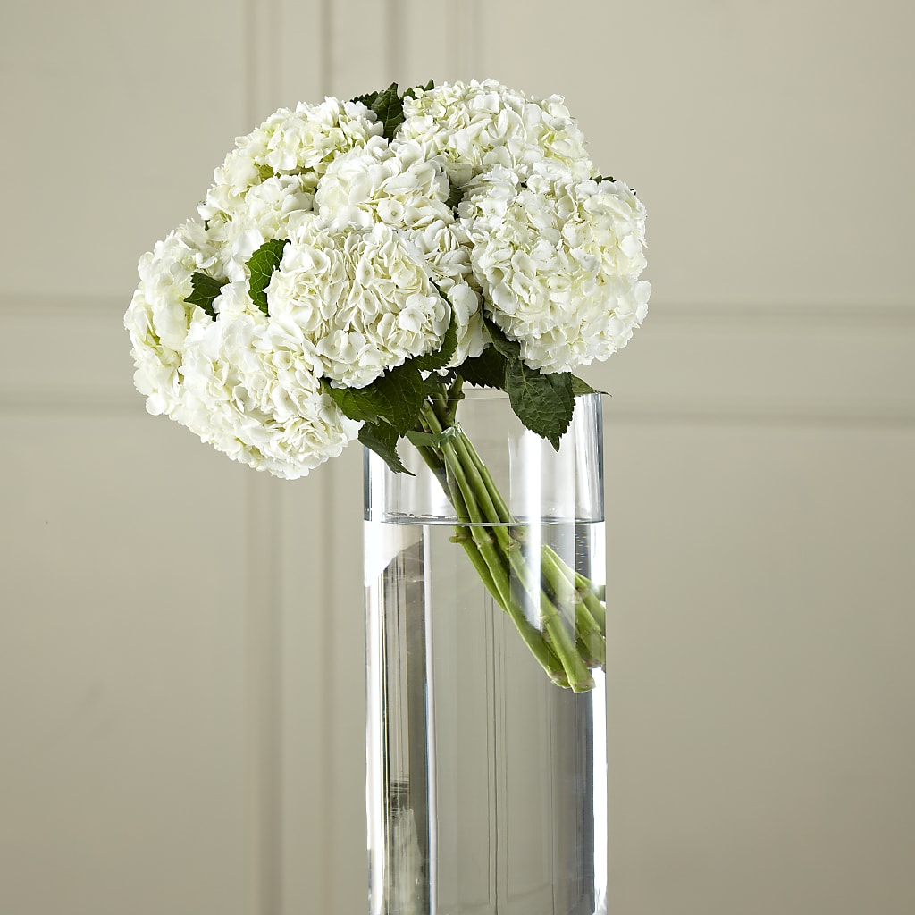 White Hydrangea Hand-Tied Bouquet – Fantasy Decorations And Flower Shop, Hawthorne CA