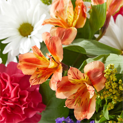 Oopsie Daisy Box Bouquet –  Fantasy Decorations And Flower Shop, Hawthorne CA