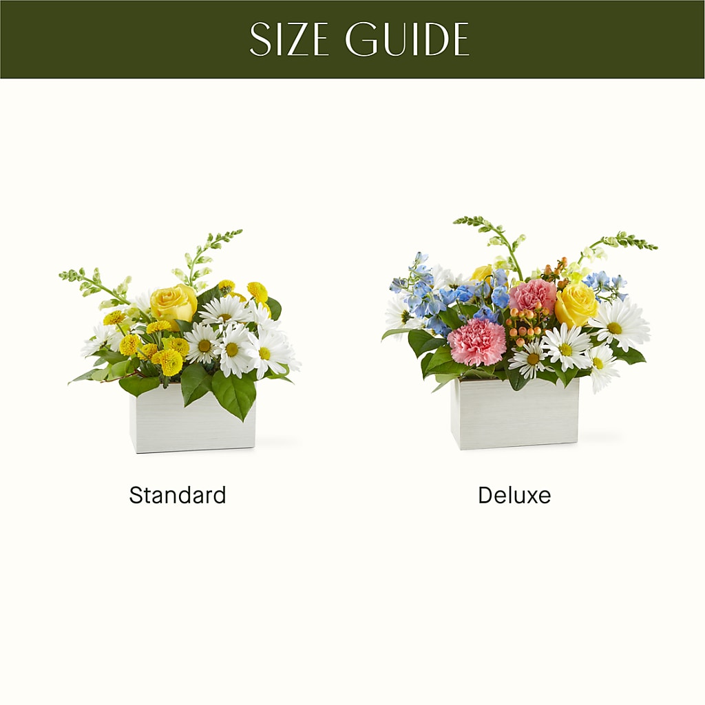 Sun Salutation Box Bouquet –  Fantasy Decorations And Flower Shop, Hawthorne CA