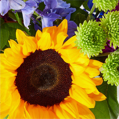 Catching Rays Bouquet –  Fantasy Decorations And Flower Shop, Hawthorne CA