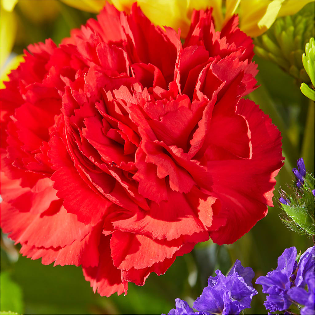 Brighter Days Bouquet –  Fantasy Decorations And Flower Shop, Hawthorne CA