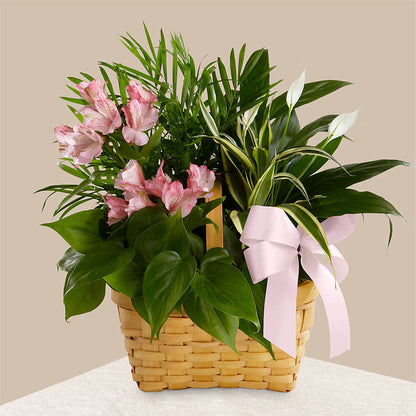 Living Spirit Dishgarden –  Fantasy Decorations And Flower Shop, Hawthorne CA