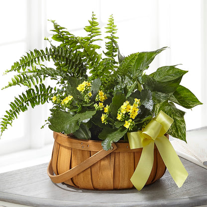 Always Dear Dishgarden –  Fantasy Decorations And Flower Shop, Hawthorne CA