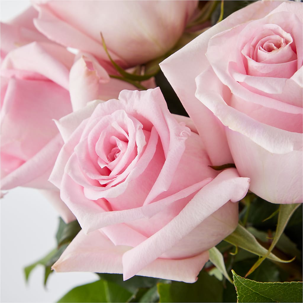 Picture Perfect Pink Rose Bouquet –  Fantasy Decorations And Flower Shop, Hawthorne CA