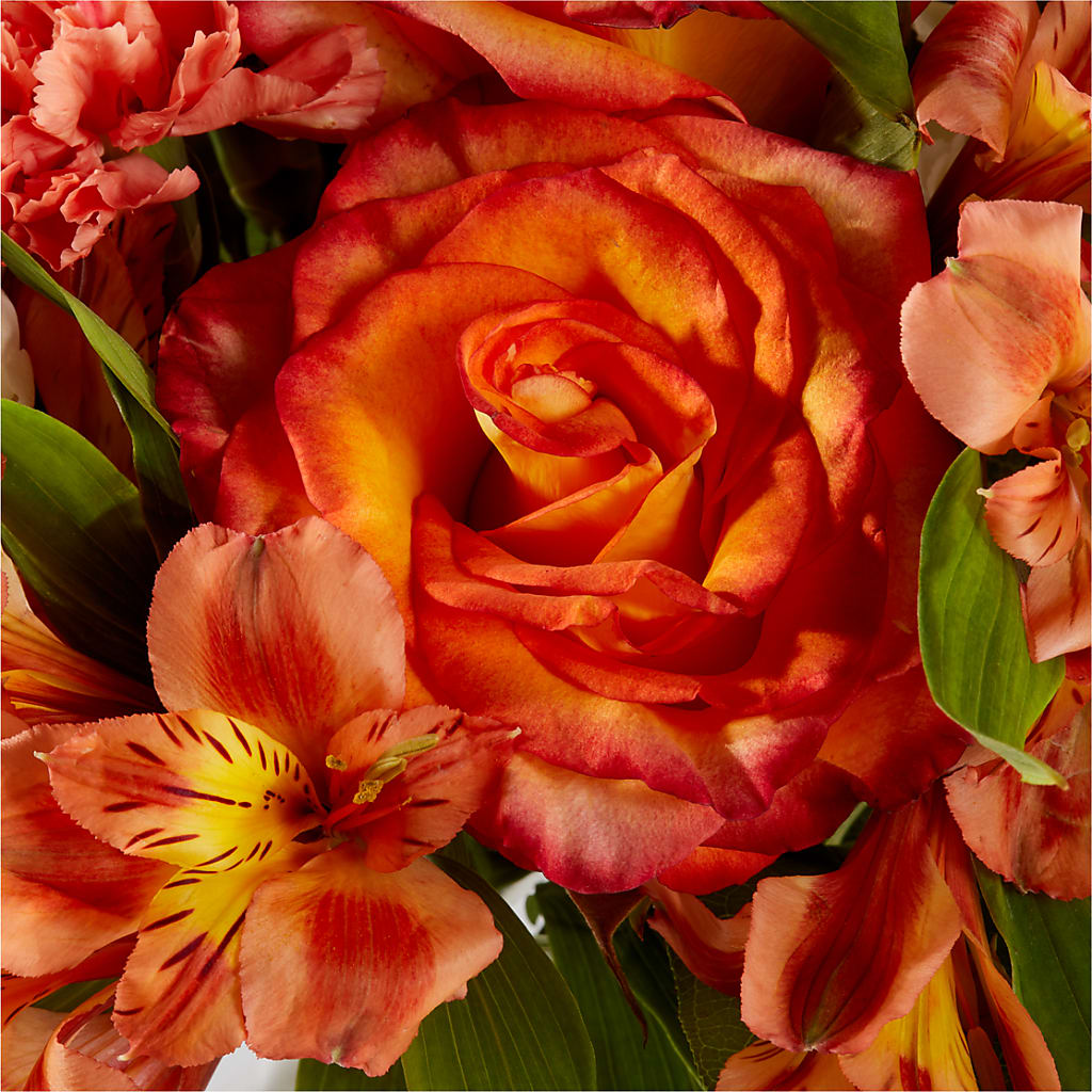 Apricot Glow Bouquet –  Fantasy Decorations And Flower Shop, Hawthorne CA