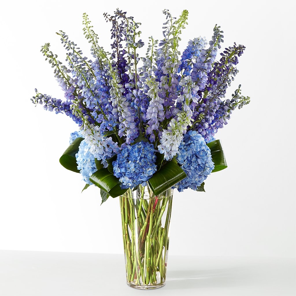 The Editorial –  Fantasy Decorations And Flower Shop, Hawthorne CA