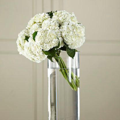 White Hydrangea Hand-Tied Bouquet –  Fantasy Decorations And Flower Shop, Hawthorne CA